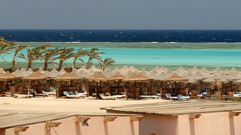 egypt, marsa alam, reef-329067.jpg